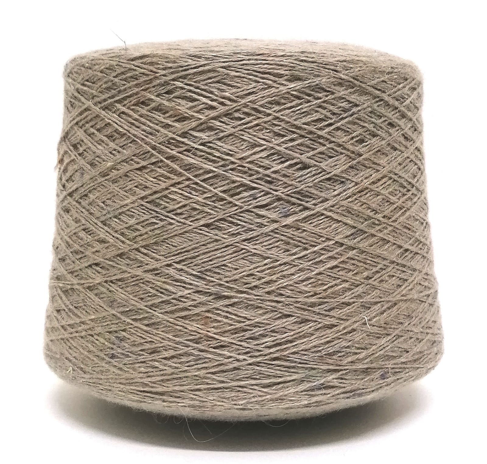 Silvia Tweed (PASTA)